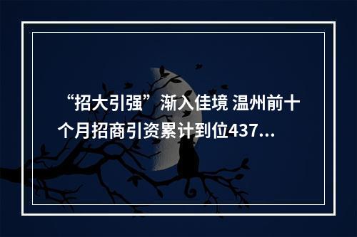 “招大引强”渐入佳境 温州前十个月招商引资累计到位437亿
