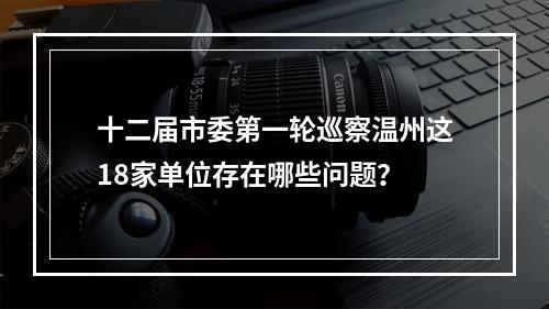 十二届市委第一轮巡察温州这18家单位存在哪些问题？