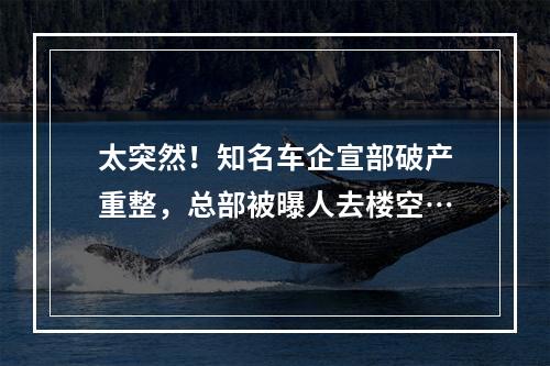 太突然！知名车企宣部破产重整，总部被曝人去楼空…