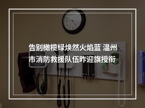 告别橄榄绿焕然火焰蓝 温州市消防救援队伍昨迎旗授衔