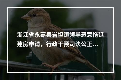 浙江省永嘉县岩坦镇领导恶意拖延建房申请，行政干预司法公正应受到严惩