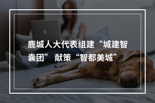 鹿城人大代表组建“城建智囊团” 献策“智都美城”