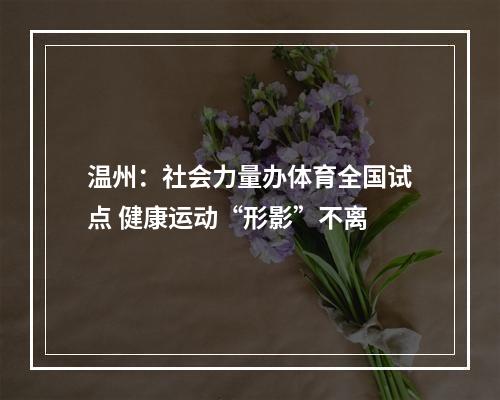温州：社会力量办体育全国试点 健康运动“形影”不离