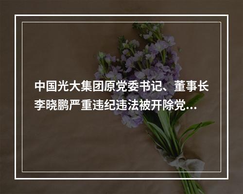 中国光大集团原党委书记、董事长李晓鹏严重违纪违法被开除党籍和公职