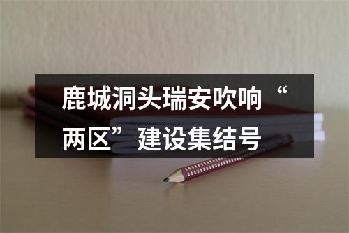 鹿城洞头瑞安吹响“两区”建设集结号