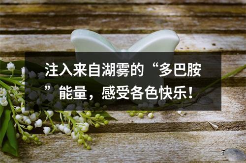 注入来自湖雾的“多巴胺”能量，感受各色快乐！