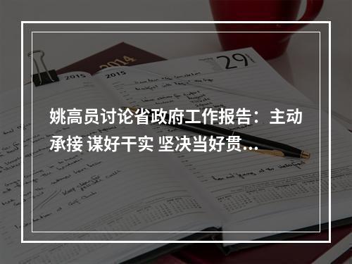 姚高员讨论省政府工作报告：主动承接 谋好干实 坚决当好贯彻落实报告的排头兵