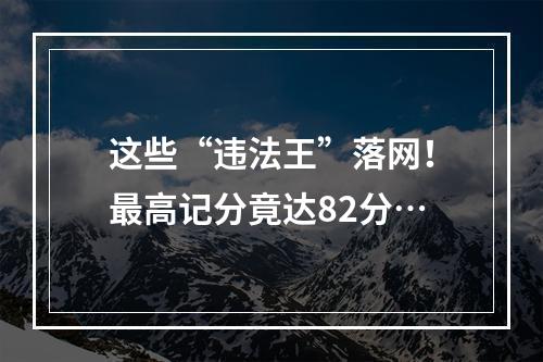 这些“违法王”落网！最高记分竟达82分…