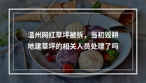 温州网红草坪被拆，当初毁耕地建草坪的相关人员处理了吗