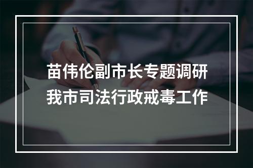 苗伟伦副市长专题调研我市司法行政戒毒工作