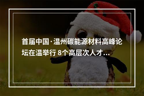 首届中国·温州碳能源材料高峰论坛在温举行 8个高层次人才创业项目现场签约