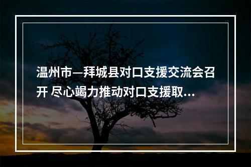 温州市—拜城县对口支援交流会召开 尽心竭力推动对口支援取得新成效