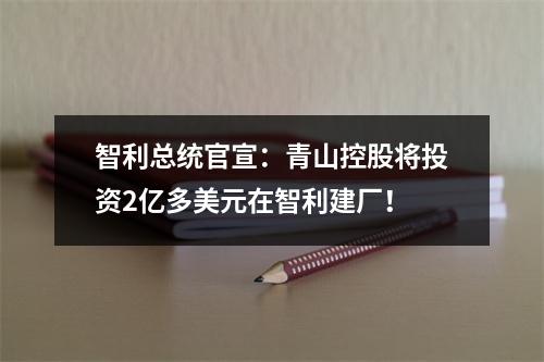 智利总统官宣：青山控股将投资2亿多美元在智利建厂！