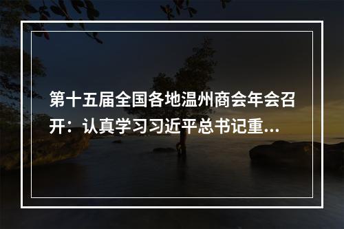 第十五届全国各地温州商会年会召开：认真学习习近平总书记重要讲话精神 内外温州人共推民营经济高质量发展
