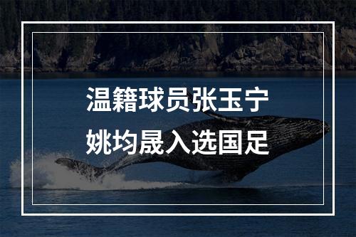 温籍球员张玉宁姚均晟入选国足