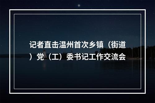 记者直击温州首次乡镇（街道）党（工）委书记工作交流会