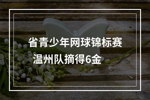省青少年网球锦标赛  温州队摘得6金
