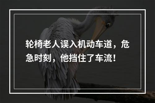 轮椅老人误入机动车道，危急时刻，他挡住了车流！