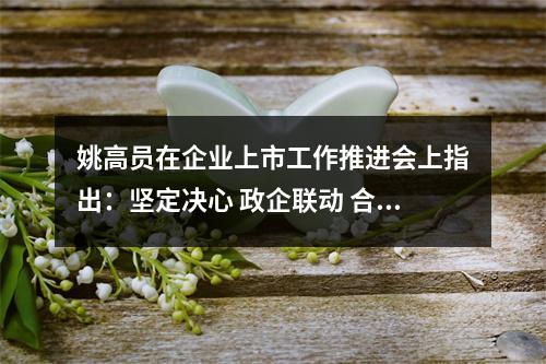 姚高员在企业上市工作推进会上指出：坚定决心 政企联动 合力推动企业上市跑出加速度