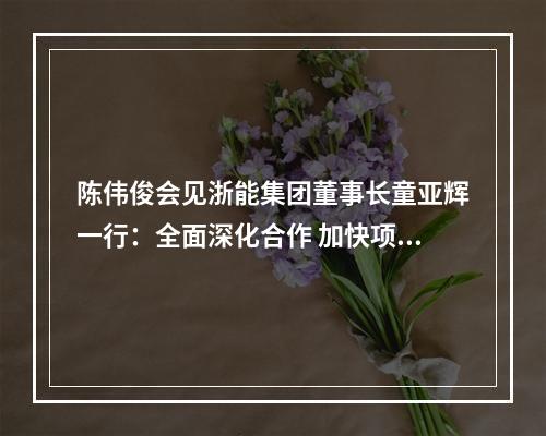 陈伟俊会见浙能集团董事长童亚辉一行：全面深化合作 加快项目推进