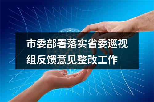 市委部署落实省委巡视组反馈意见整改工作