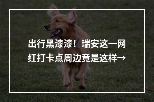 出行黑漆漆！瑞安这一网红打卡点周边竟是这样→