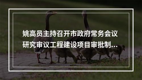 姚高员主持召开市政府常务会议 研究审议工程建设项目审批制度改革试点方案
