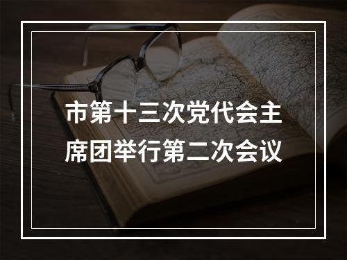 市第十三次党代会主席团举行第二次会议