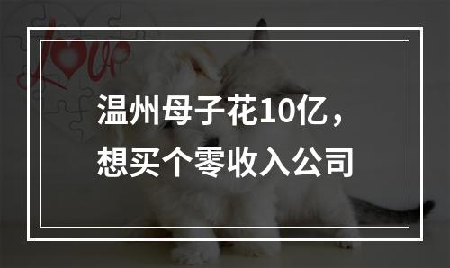 温州母子花10亿，想买个零收入公司