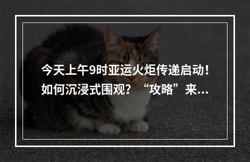 今天上午9时亚运火炬传递启动！如何沉浸式围观？“攻略”来了
