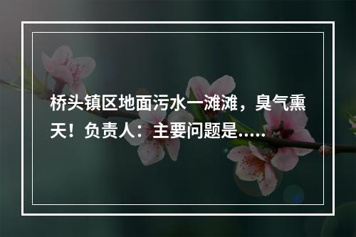 桥头镇区地面污水一滩滩，臭气熏天！负责人：主要问题是...