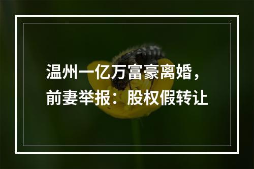 温州一亿万富豪离婚，前妻举报：股权假转让