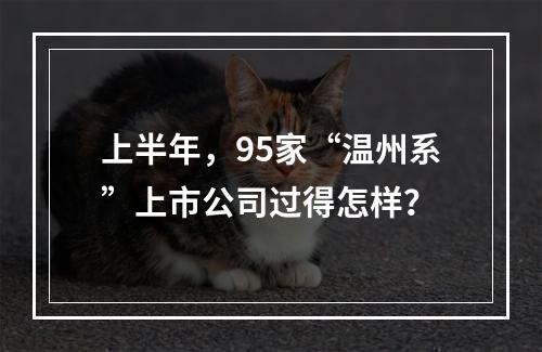 上半年，95家“温州系”上市公司过得怎样？