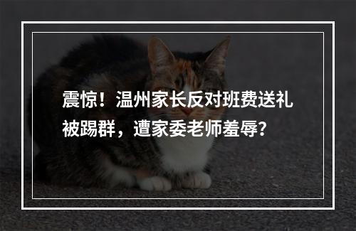 震惊！温州家长反对班费送礼被踢群，遭家委老师羞辱？
