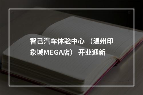 智己汽车体验中心 （温州印象城MEGA店） 开业迎新