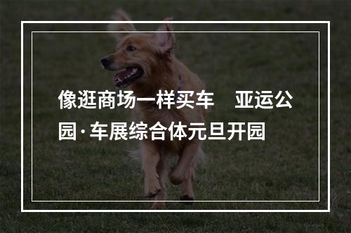 像逛商场一样买车　亚运公园·车展综合体元旦开园