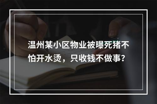温州某小区物业被曝死猪不怕开水烫，只收钱不做事？