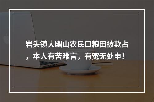 岩头镇大幽山农民口粮田被欺占，本人有苦难言，有冤无处申！