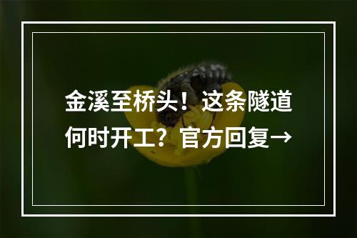 金溪至桥头！这条隧道何时开工？官方回复→