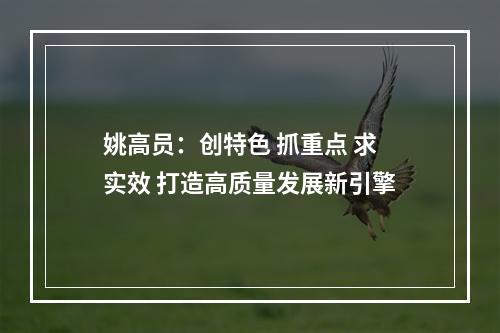 姚高员：创特色 抓重点 求实效 打造高质量发展新引擎
