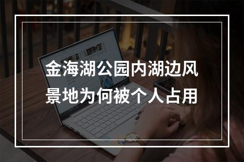 金海湖公园内湖边风景地为何被个人占用