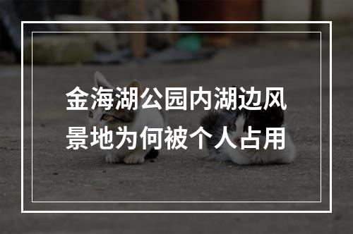 金海湖公园内湖边风景地为何被个人占用