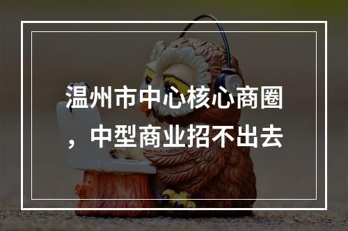 温州市中心核心商圈，中型商业招不出去