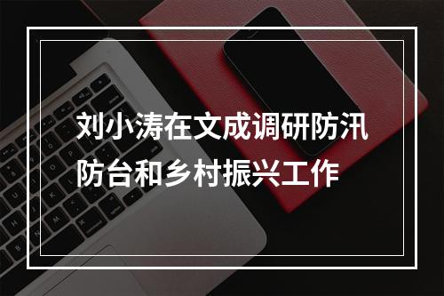 刘小涛在文成调研防汛防台和乡村振兴工作