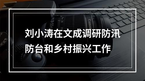 刘小涛在文成调研防汛防台和乡村振兴工作
