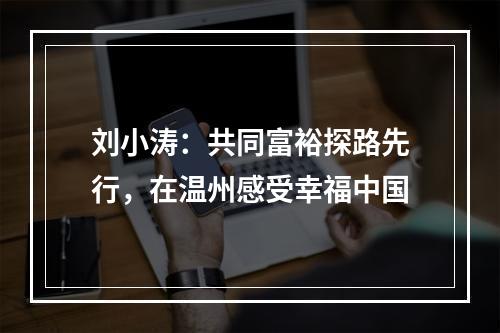 刘小涛：共同富裕探路先行，在温州感受幸福中国