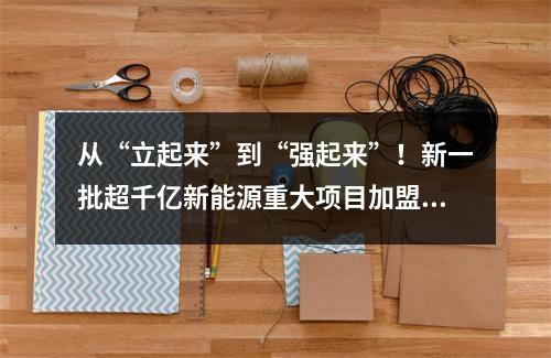 从“立起来”到“强起来”！新一批超千亿新能源重大项目加盟温州