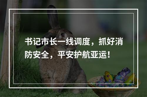 书记市长一线调度，抓好消防安全，平安护航亚运！