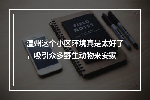 温州这个小区环境真是太好了，吸引众多野生动物来安家
