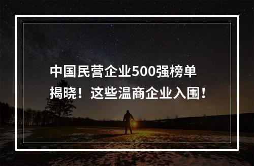 中国民营企业500强榜单揭晓！这些温商企业入围！